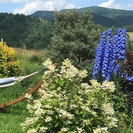 Osada Chyze Jewki Villa Чисна Екстериор снимка
